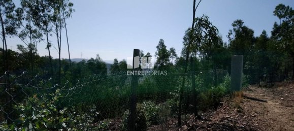 14000m² Land in Gove, Portugal No. 59378 2