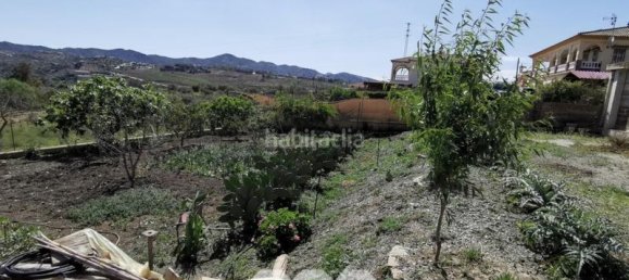 6 bedrooms House in Alcaucin, Spain No. 41563 6