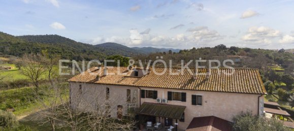 8 bedrooms Villa in Manciano, Italy No. 102907 19