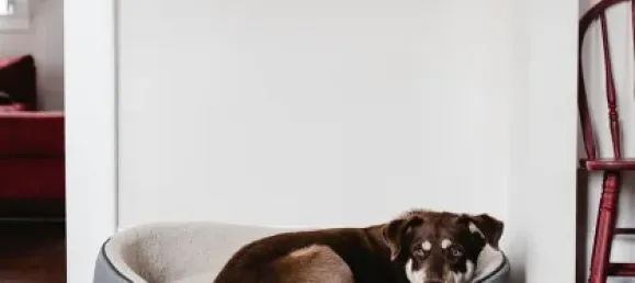 Adosado de 3 dormitorios en Eichstatt, Germany No. 227896 23