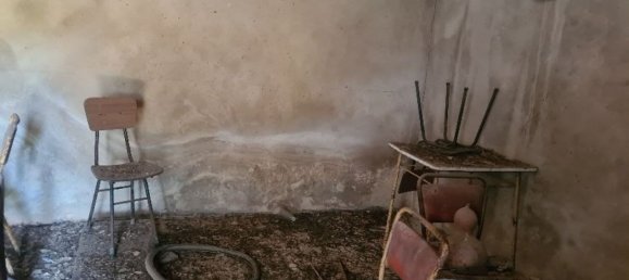 Коммерческая недвижимость 178м² в Санта Катарина да Фонте ду Бишпу, Португалия № 53552 6