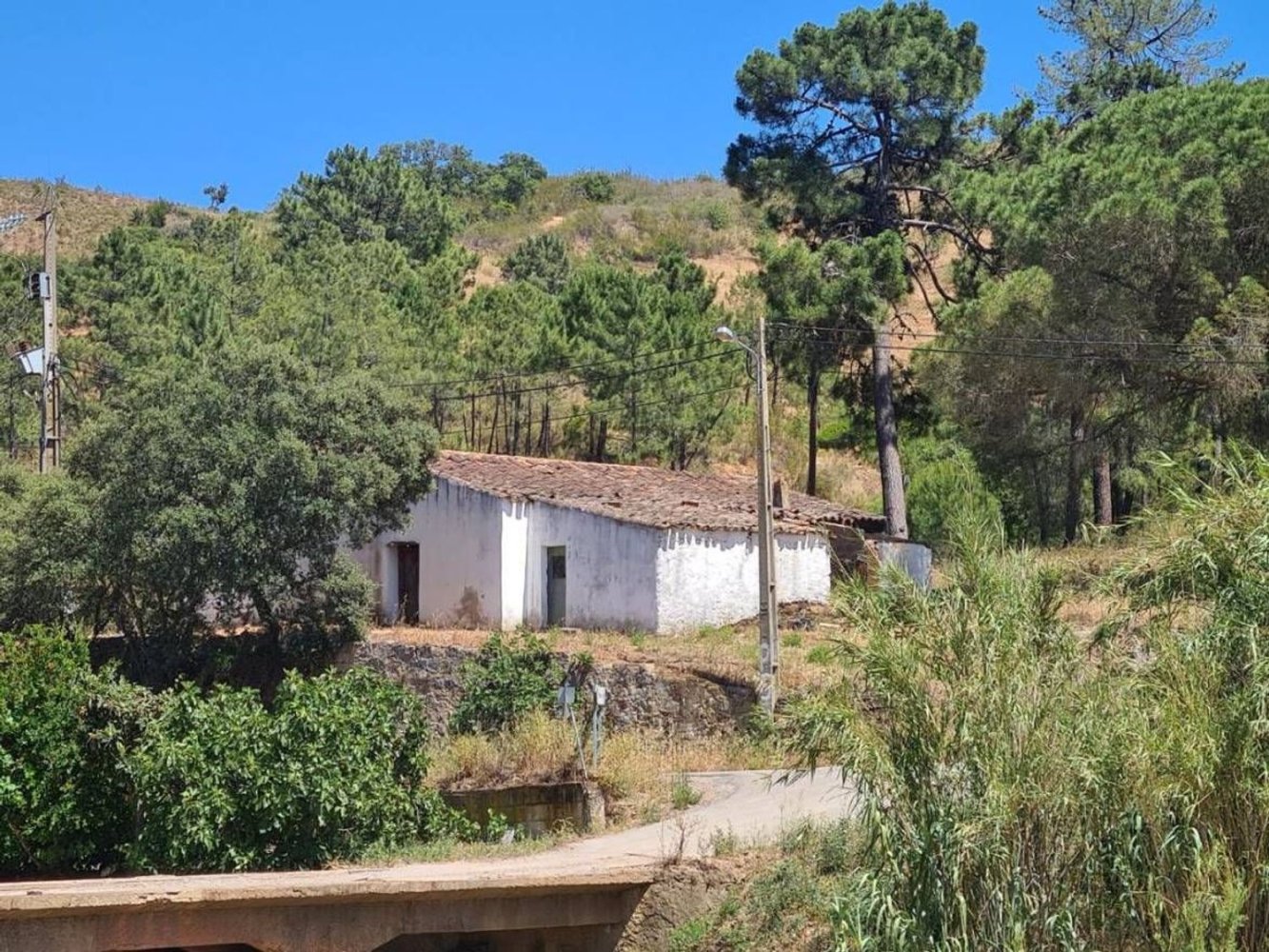 Коммерческая недвижимость 178м² в Санта Катарина да Фонте ду Бишпу, Португалия № 53552