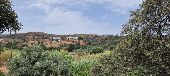 Коммерческая недвижимость 178м² в Санта Катарина да Фонте ду Бишпу, Португалия № 53552 12