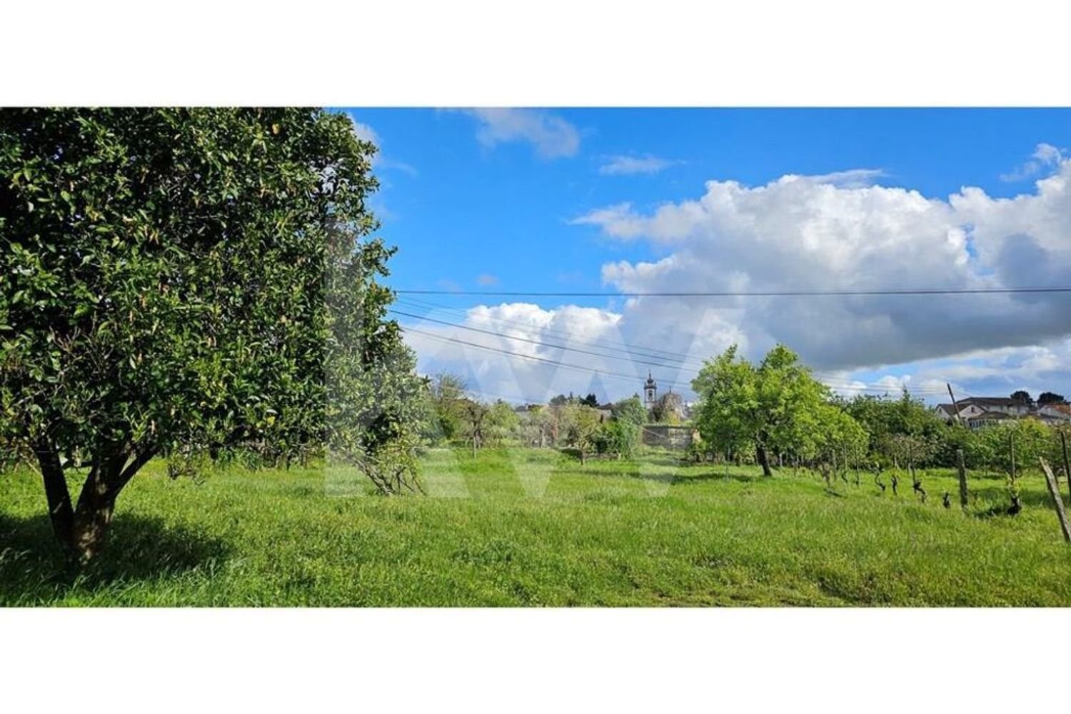 Grundstück in Oliveira do Hospital, Portugal 1138m², Nr. 91320