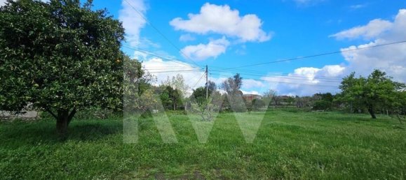 Grundstück in Oliveira do Hospital, Portugal 1138m², Nr. 91320 4