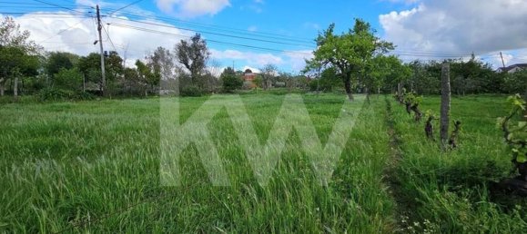 Grundstück in Oliveira do Hospital, Portugal 1138m², Nr. 91320 15