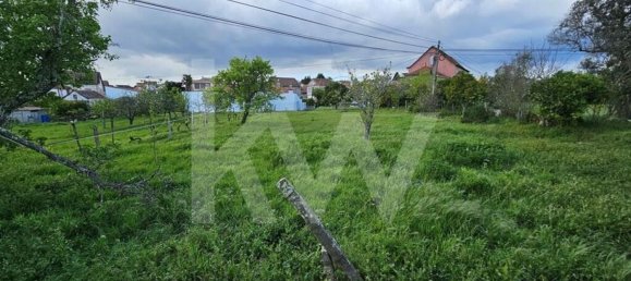 Grundstück in Oliveira do Hospital, Portugal 1138m², Nr. 91320 10