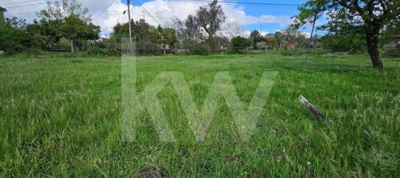 Grundstück in Oliveira do Hospital, Portugal 1138m², Nr. 91320 17