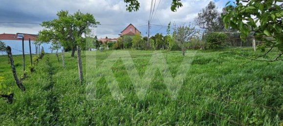 Grundstück in Oliveira do Hospital, Portugal 1138m², Nr. 91320 9