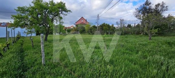 Grundstück in Oliveira do Hospital, Portugal 1138m², Nr. 91320 8