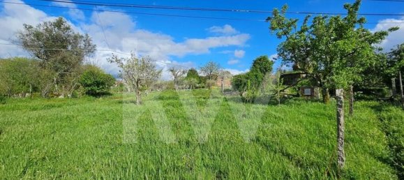 Grundstück in Oliveira do Hospital, Portugal 1138m², Nr. 91320 7