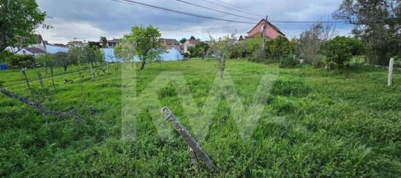 Grundstück in Oliveira do Hospital, Portugal 1138m², Nr. 91320 11