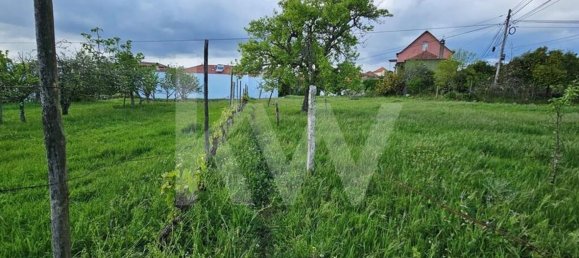 Grundstück in Oliveira do Hospital, Portugal 1138m², Nr. 91320 13