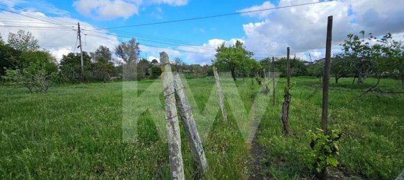 Grundstück in Oliveira do Hospital, Portugal 1138m², Nr. 91320 18