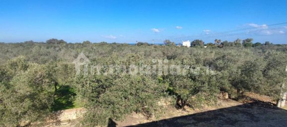 4 bedrooms Villa in Ostuni, Italy No. 348128 8