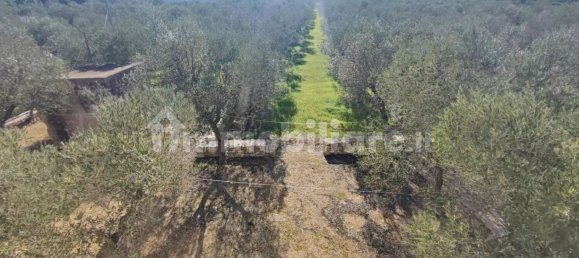 4 bedrooms Villa in Ostuni, Italy No. 348128 7