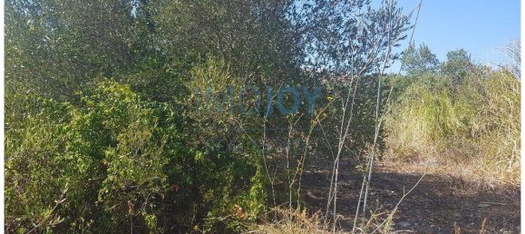  قطعة أرض في Cascais, Portugal 483متر مربع رقم 139552 7