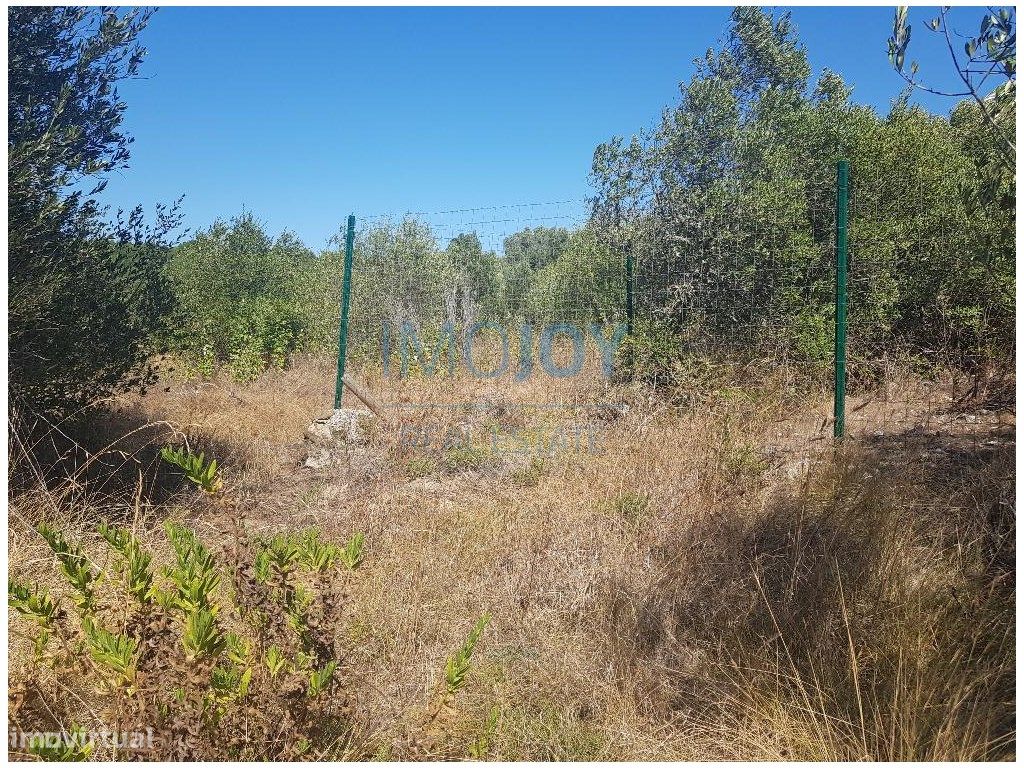  قطعة أرض في Cascais, Portugal 483متر مربع رقم 139552