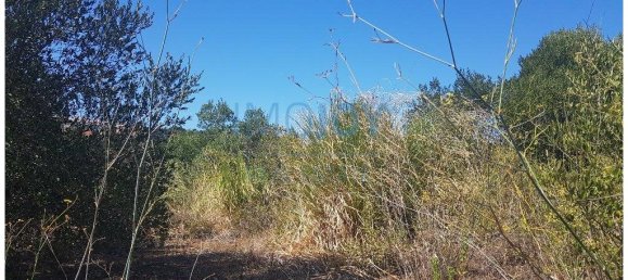  قطعة أرض في Cascais, Portugal 483متر مربع رقم 139552 6