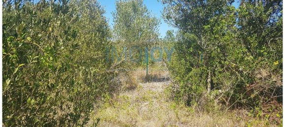  قطعة أرض في Cascais, Portugal 483متر مربع رقم 139552 17