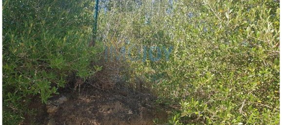  قطعة أرض في Cascais, Portugal 483متر مربع رقم 139552 9