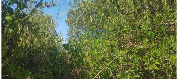  قطعة أرض في Cascais, Portugal 483متر مربع رقم 139552 14