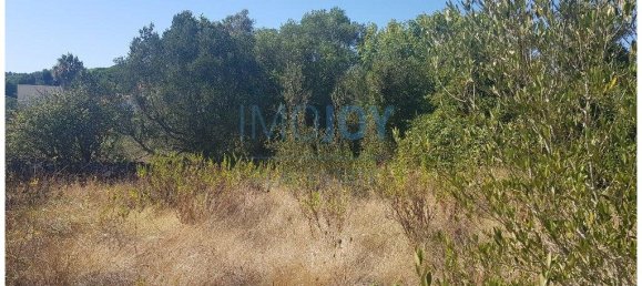  قطعة أرض في Cascais, Portugal 483متر مربع رقم 139552 18