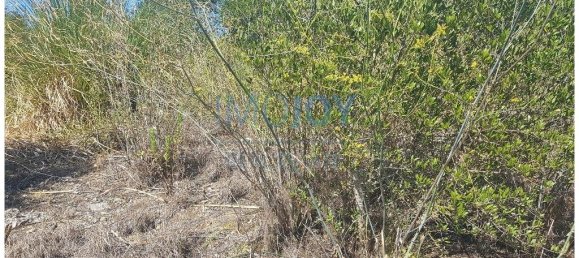  قطعة أرض في Cascais, Portugal 483متر مربع رقم 139552 12