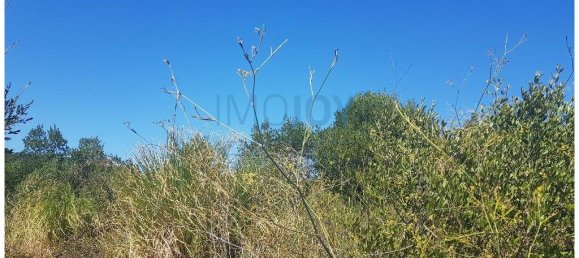  قطعة أرض في Cascais, Portugal 483متر مربع رقم 139552 8