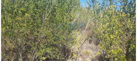  قطعة أرض في Cascais, Portugal 483متر مربع رقم 139552 13