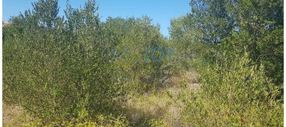  قطعة أرض في Cascais, Portugal 483متر مربع رقم 139552 4