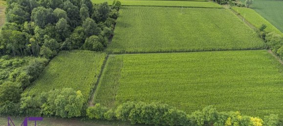 Terreno en Udine, Italy No. 313291 9