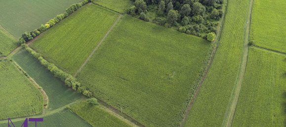 Terreno en Udine, Italy No. 313291 3