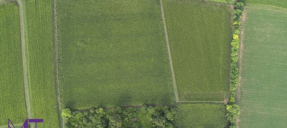 Terreno en Udine, Italy No. 313291 6