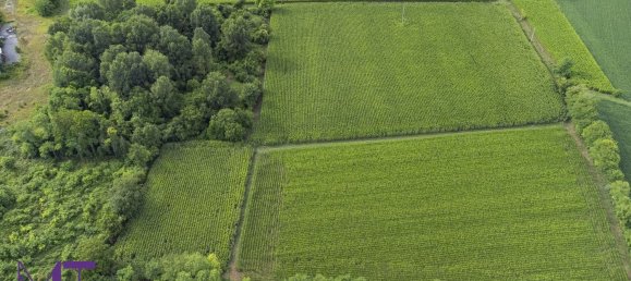 Terreno en Udine, Italy No. 313291 10