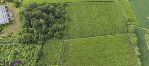 Terreno en Udine, Italy No. 313291 11