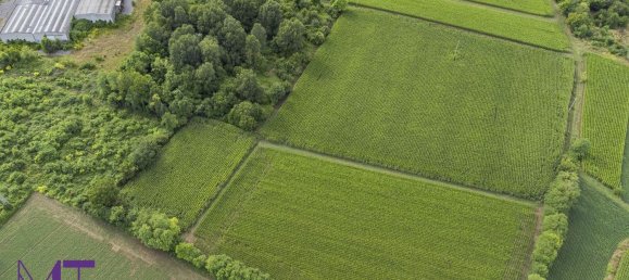 Terreno en Udine, Italy No. 313291 12