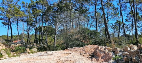 Земельный участок 11060м² в Помбал, Португалия № 83323 5