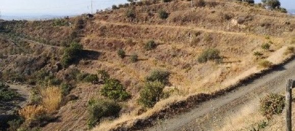 Grundstück in Velez-Malaga, Spain 30636m², Nr. 189307 12