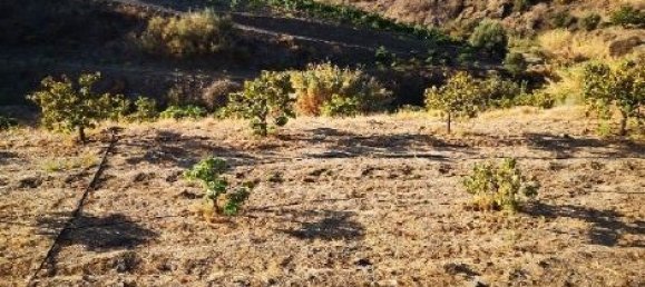 Grundstück in Velez-Malaga, Spain 30636m², Nr. 189307 5