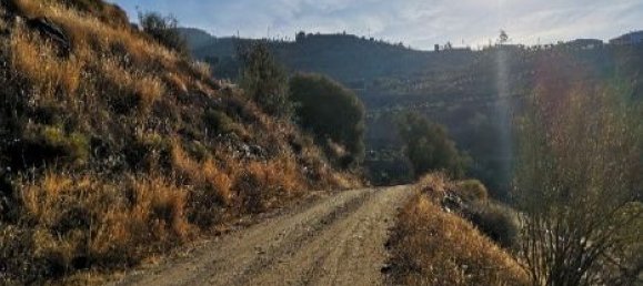 Grundstück in Velez-Malaga, Spain 30636m², Nr. 189307 6