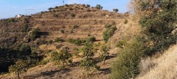 Grundstück in Velez-Malaga, Spain 30636m², Nr. 189307 7