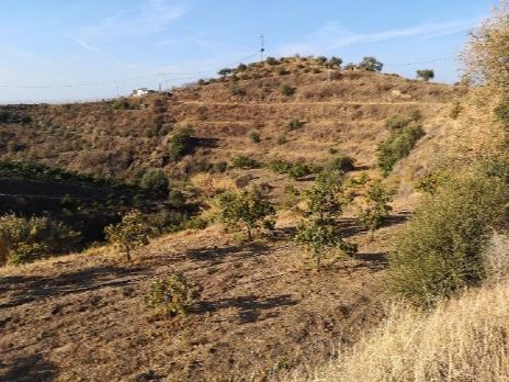 Grundstück in Velez-Malaga, Spain 30636m², Nr. 189307