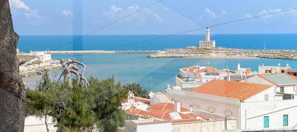 Studio in Vieste, Italy, Nr. 25972 8