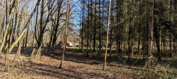 1 bedroom House in Isle-et-Bardais, France No. 204675 7