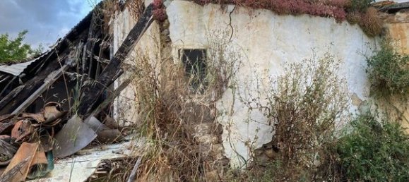 1 bedroom House in Peso da Regua, Portugal No. 20548 5