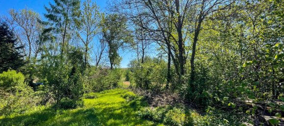 1 غرف نوم منزل في Pucking, Austria رقم 188668 8