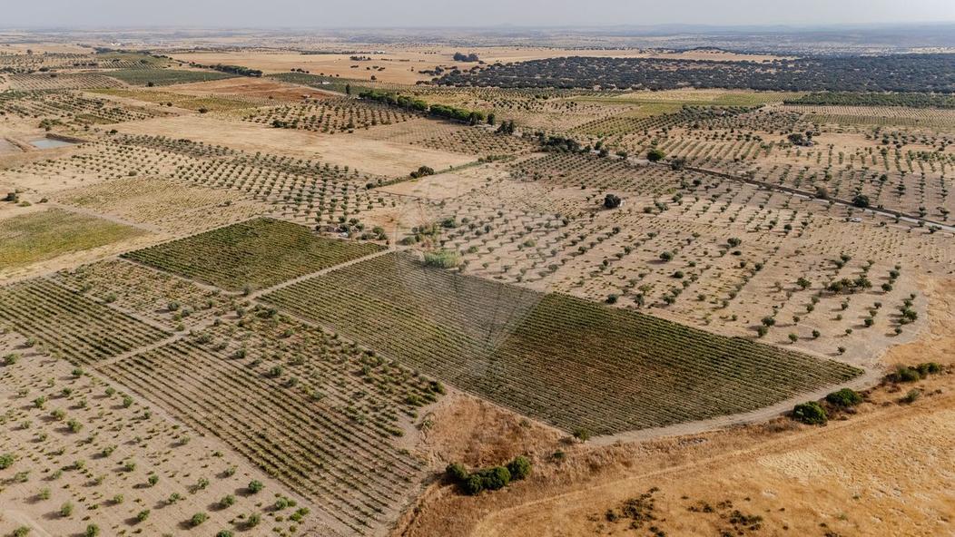 Grundstück in Moura, Portugal, Nr. 351617