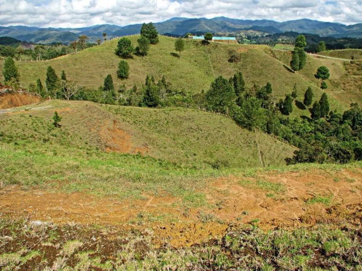  قطعة أرض في Antioquia, Colombia رقم 798