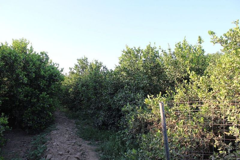 Terreno en Cártama, Spain 1800 m² No. 222362